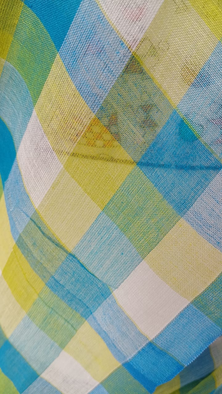 Blue checks mul cotton sari